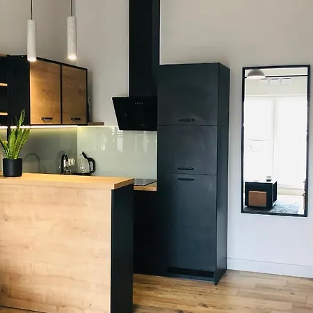 Apartment - Soft Lofty Legnicka Centrum *