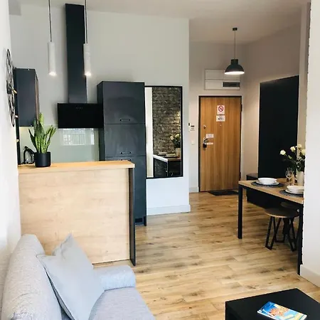 - Soft Lofty Legnicka Centrum Apartment *